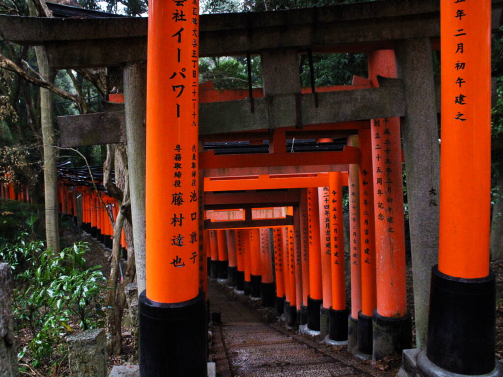 View of the red column gate in the middle of the forest in Fushimi Inari Gates 