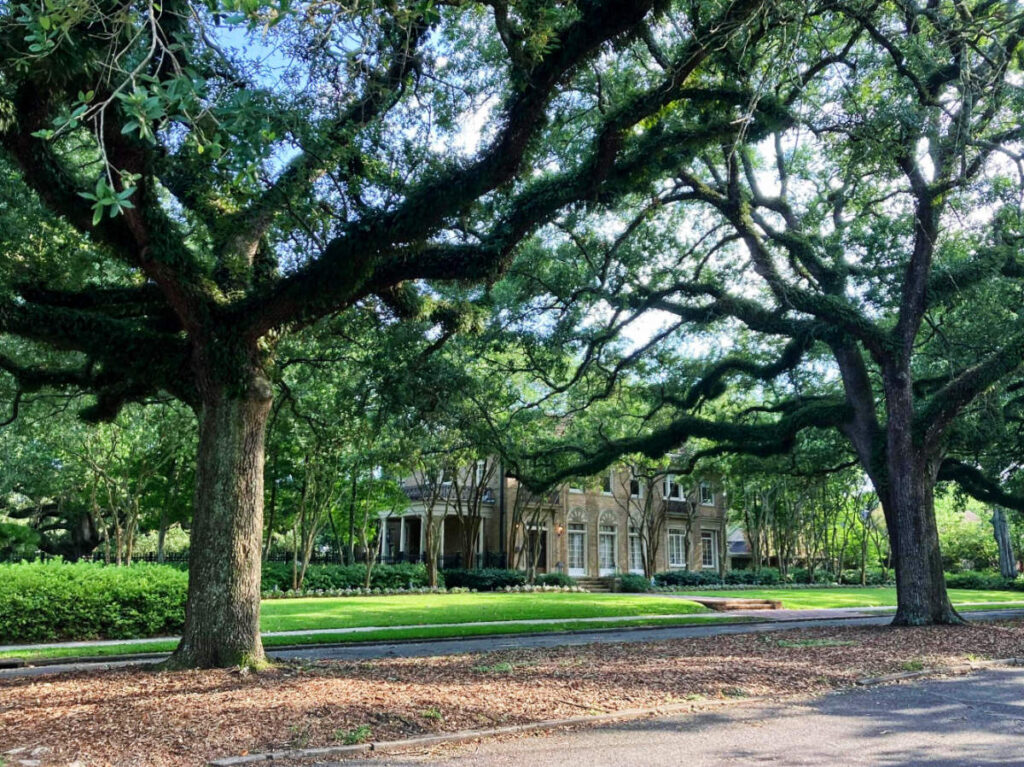 View of the mansion at the Garden District