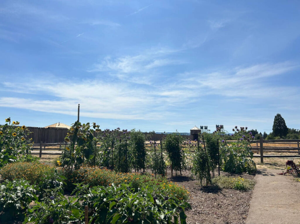 View of the lush garden under the clear blue sky in Fort Vancouver