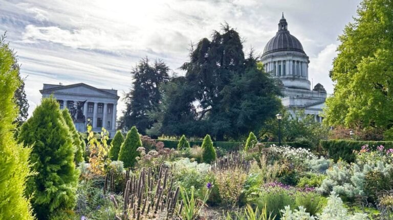 A scenic view of the garden at the Washington, DC state capitol, filled with colorful plants and a peaceful atmosphere