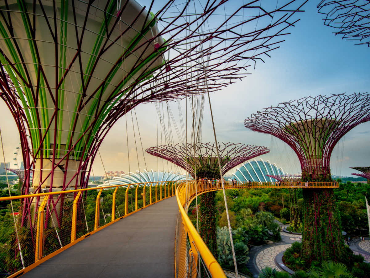 View of the unique structures at the Gardens By The Bay