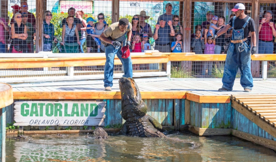 View of performers at Gatorland Florida