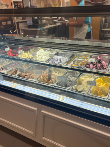 Variety of gelato on display at Gelataria La Copa