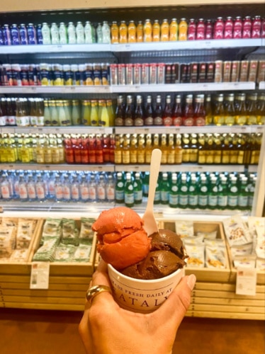 A hand holding a cup of gelato