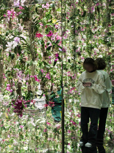 A girl standing in the flower room of teamLab Planets Tokyo