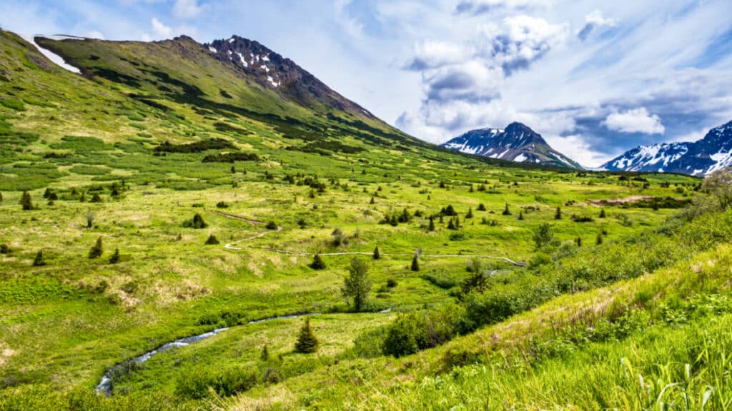 View of the wide green space at Chugach State Park with Glacial Valleys View