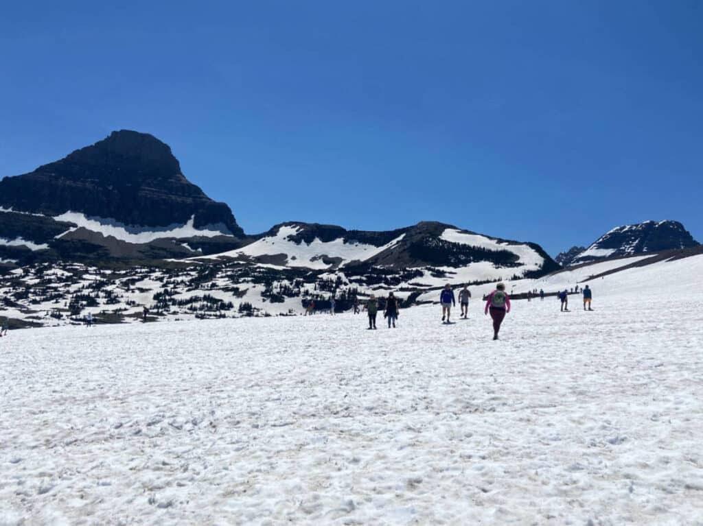 Clear blue sky over the Glacier National Park