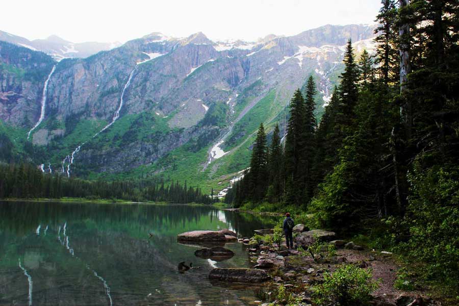 A man wandering in Glacier National Park