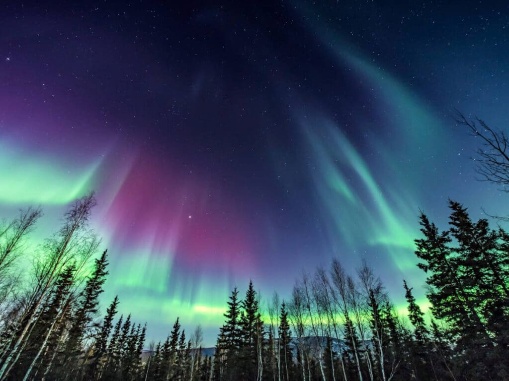 Colorful northern lights at a forest in Alaska