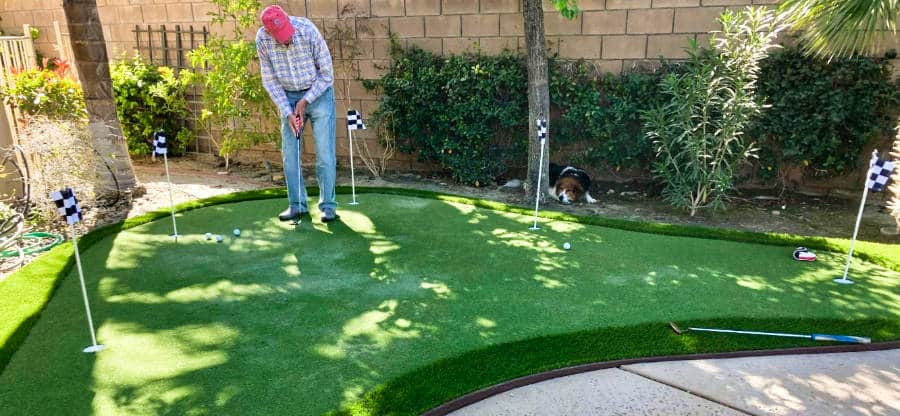 An old man golfing on a neighbor's putting green in Palm Springs.