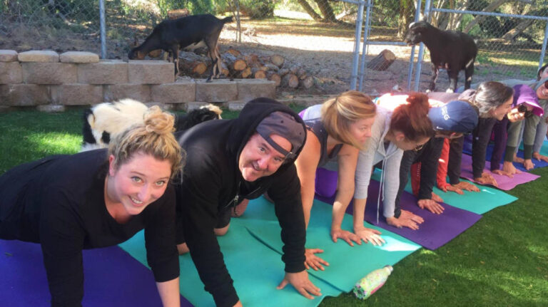 The author, Jess Levy with her dad doing yoga in San Marcos