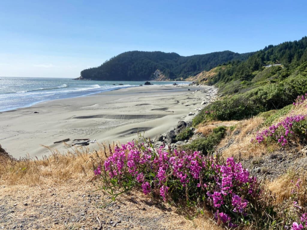 Clear blue sky over the Gold Beach