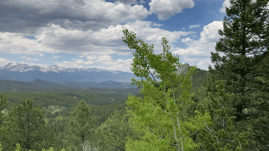 Panoramic view at one of the hiking trails in Golden Gate Canyon State Park