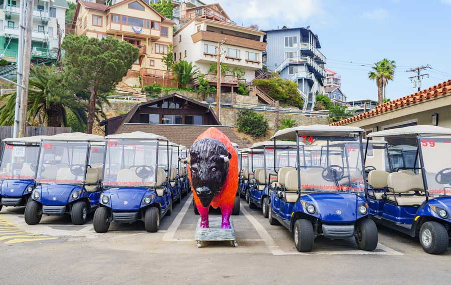 View of golf cart rentals in Catalina Island