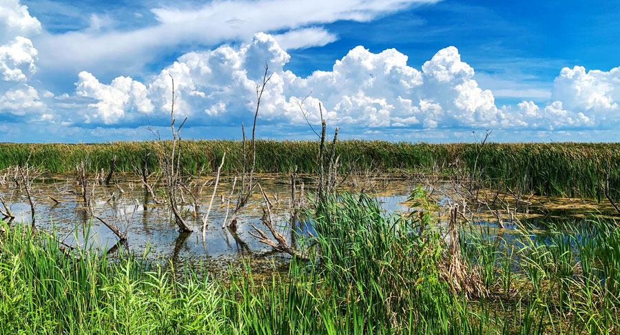 View of a lake in the middle of the grass field on a sunny day