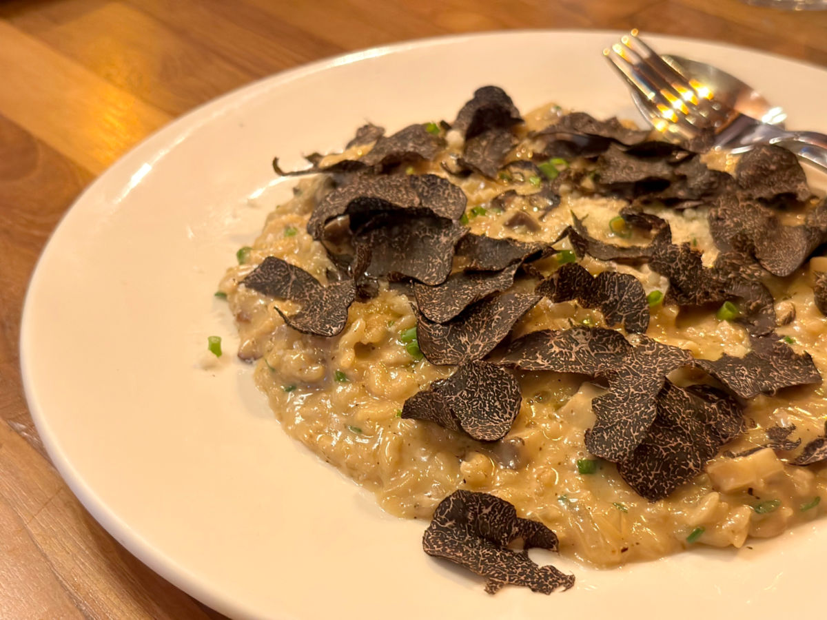 A plate of Gourmet truffle risotto