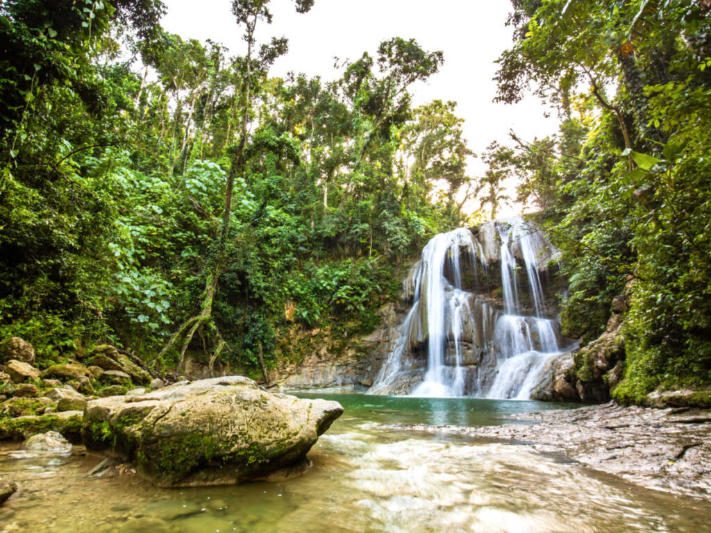 Scenic view of the beautiful waterfall surrounded by lush greenery