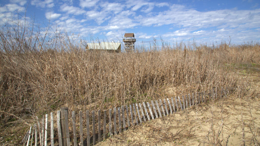 View of a fence on a beach in Grand Isle, Louisiana