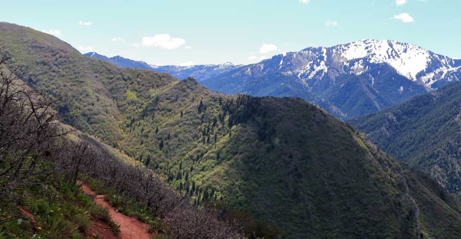 Overlooking view at the Grandeur Peak