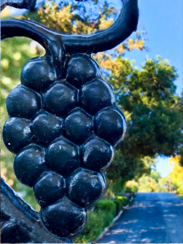 Closeup view of the grape shaped art piece at the entrance of Buena Vista Winery