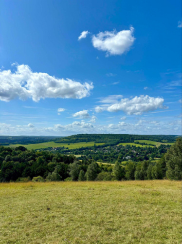 View of the Grassy meadows overlooking the English countryside at Box Hill