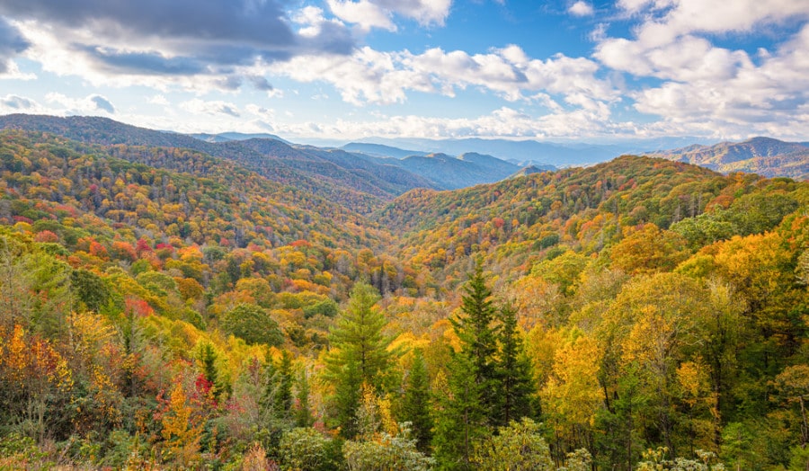 View of Autumn Great Smoky Mountains National Park