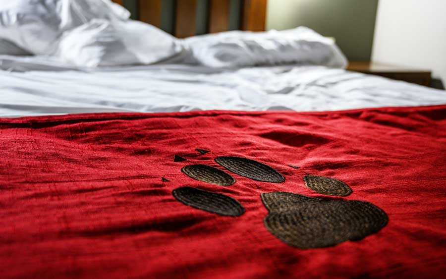 A paw print design on a bed in Great Wolf Lodge