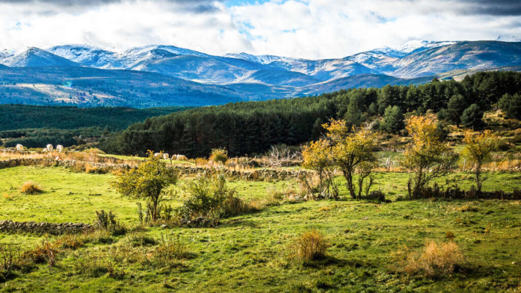 Panoramic view of the lush landscape at Gredos Mountain Range