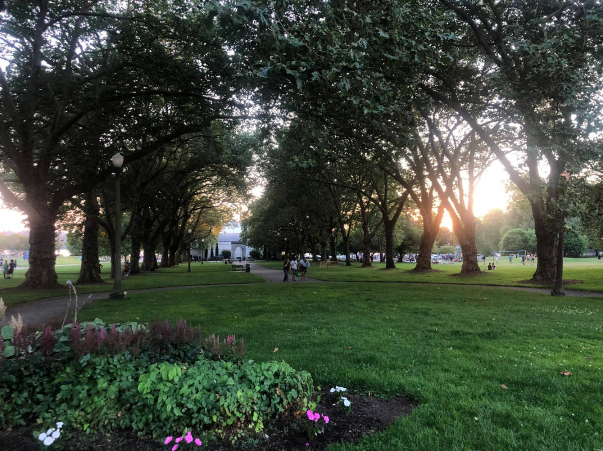 View of the shaded area at Green Lake Park