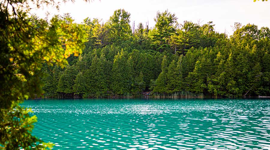 View of the greenery around the Green Lake