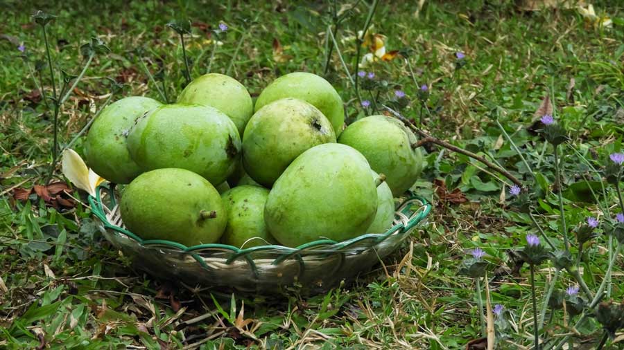 View of green mangoes on a basket