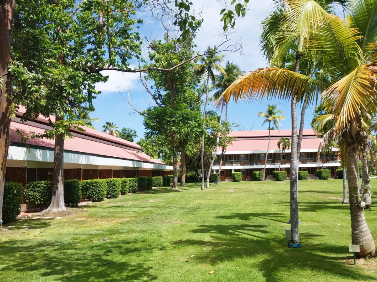 Facade of the Copamarina Beach Resort surrounded by greenery