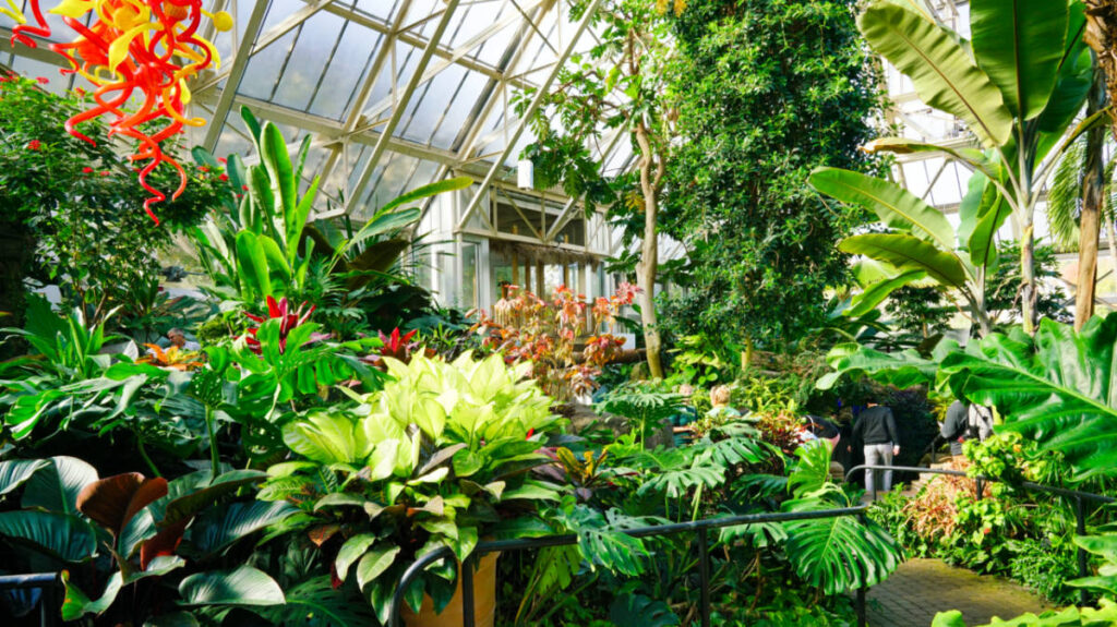 View of the lush greenery inside the Franklin Park Conservatory and Botanical Gardens