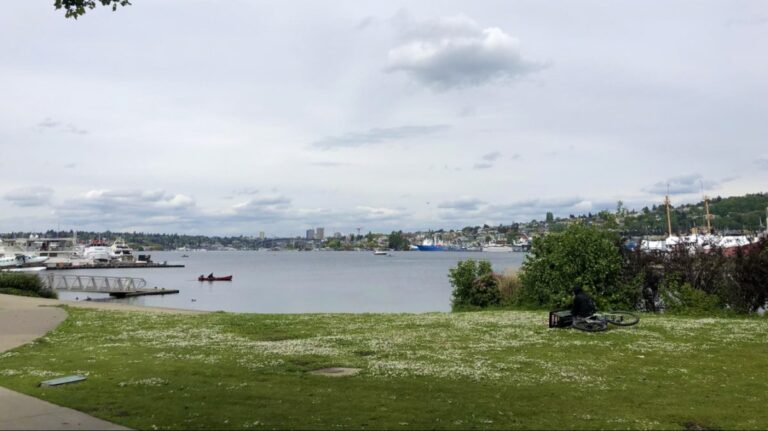 Panoramic view of the greenspace near a lake along a stop in Seattle