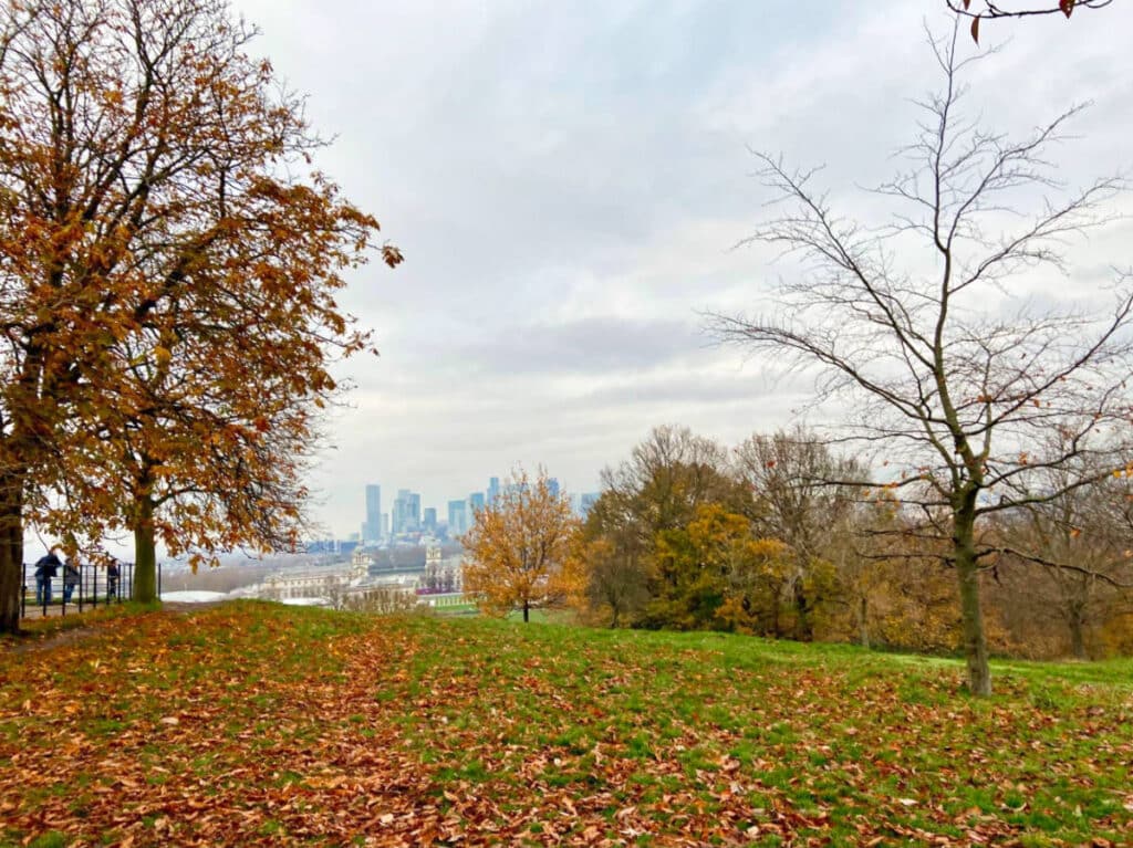 View of the fall foliage around Greenwich Park