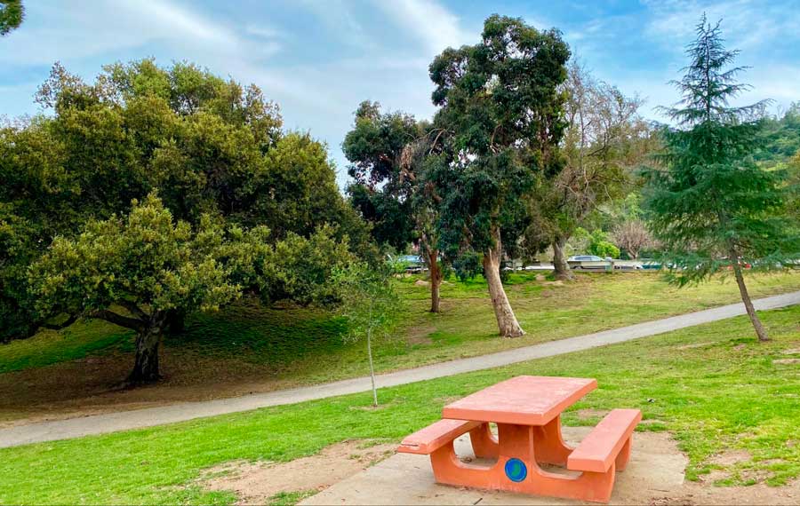 Trees and seats with table in Griffith Park