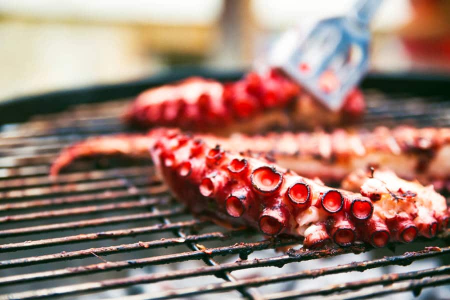 Closeup look at the grilled octopus