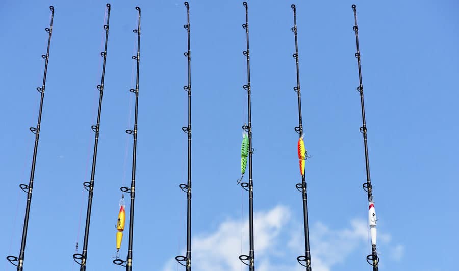 View of fishing poles ready for use and the clear blue sky
