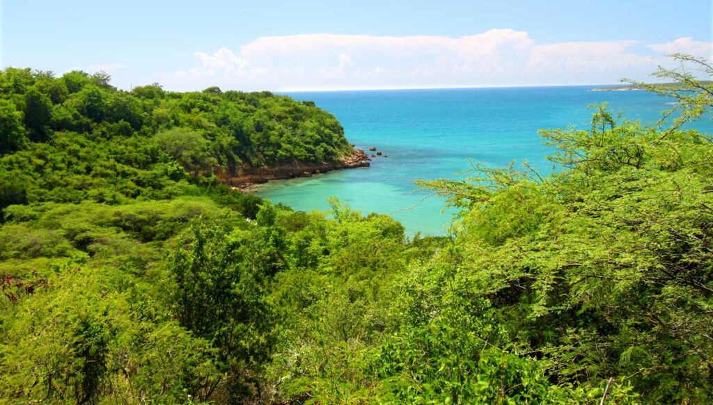 View of the Caribbean coastline in Guanica Dry Forest Reserve