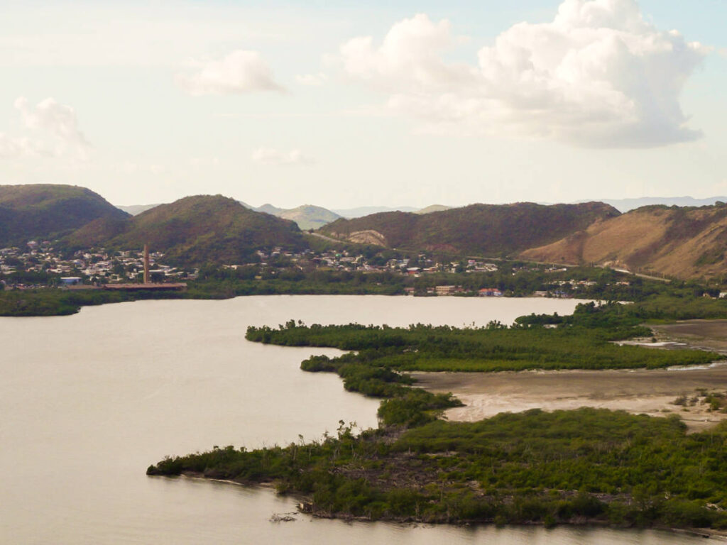 Aerial view of the sugar cane plantation in Guánica