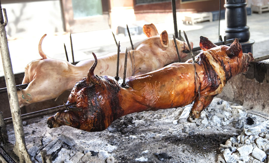 View of roasted pig getting cooked