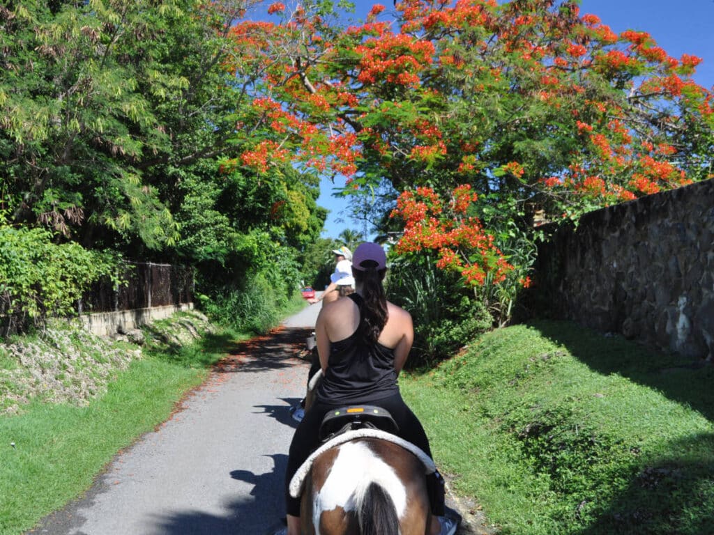 People enjoying horse riding in Hacienda Carabalí Rainforest Park