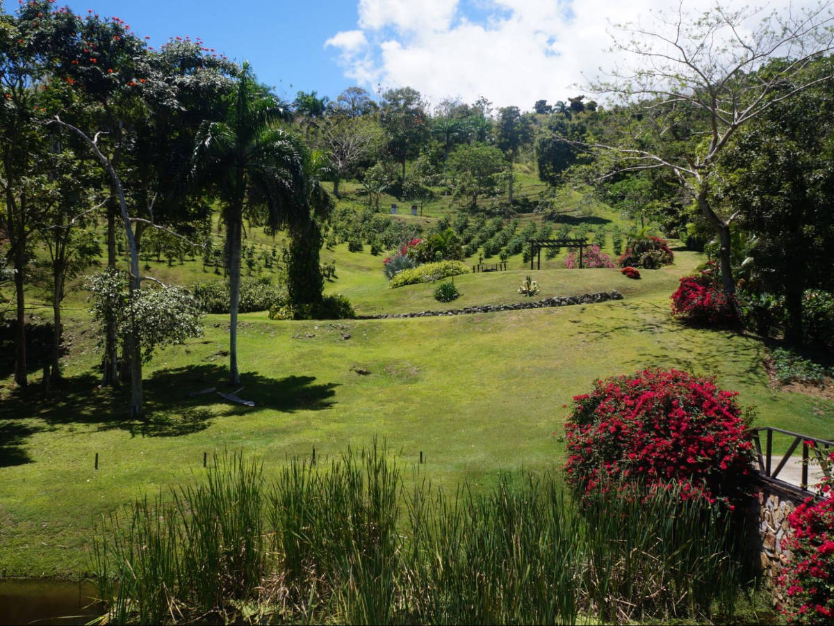 Overlooking view at the Hacienda Muñoz