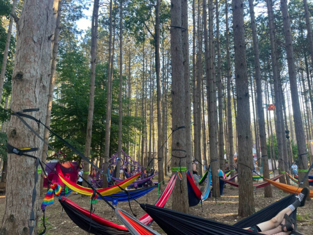 People’s hammocks set up at Electric Forest