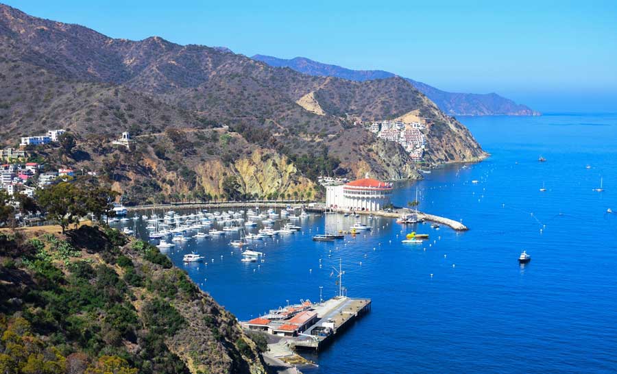 Overlooking view of a harbor in Catalina Island