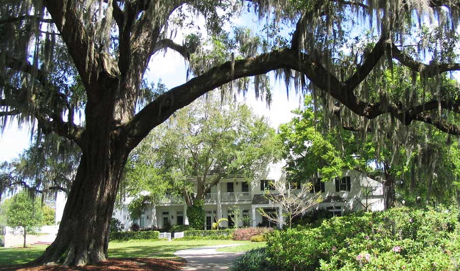 View of the Harry P Leu Gardens in Orlando, Florida