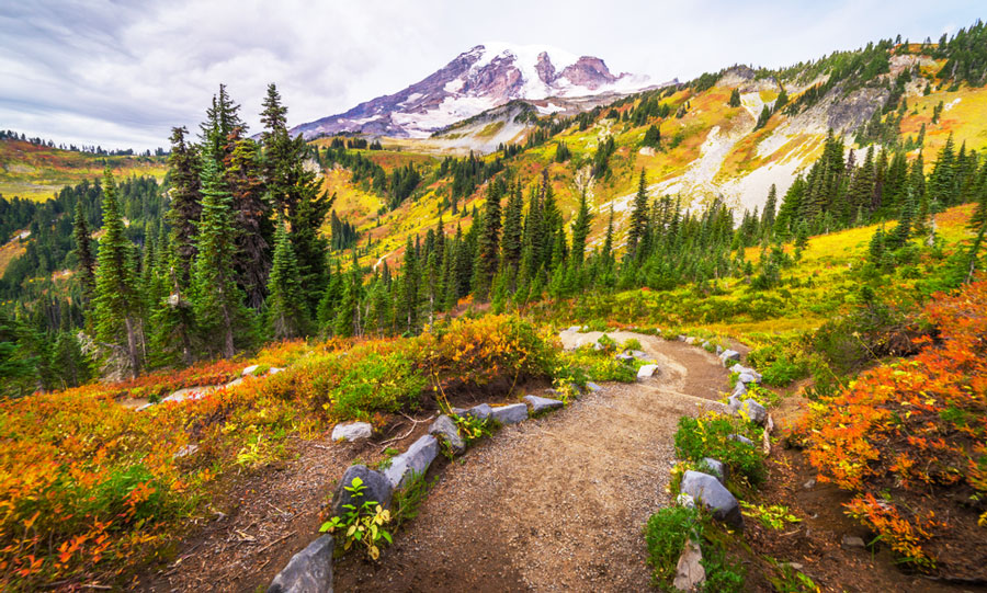 View of Mount St Helens National Volcanic Monument