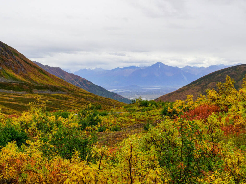 Overlooking view at the Hatcher Pass during fall season