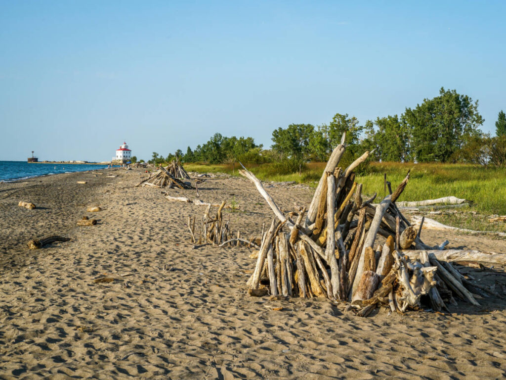 Chop of woods on the white sand in Headlands Beach