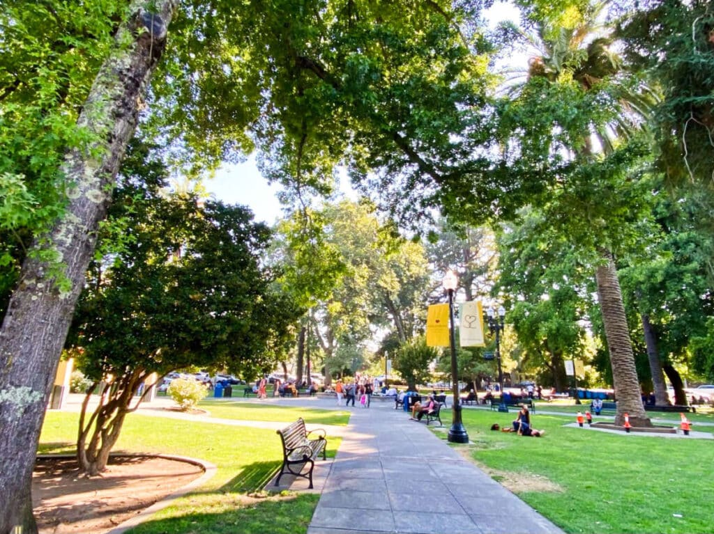 View of the people chilling at the Healdsburg Plaza